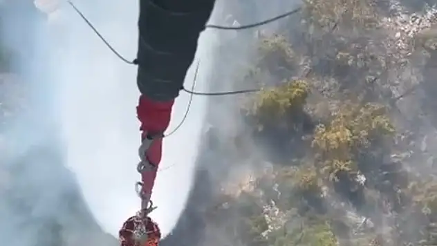 Milas'ta orman yangını