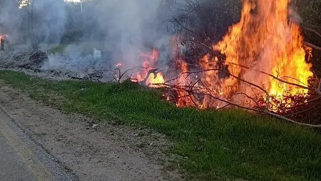 Milas'taki orman yangınları büyümeden söndürüldü