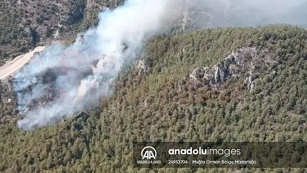 Milas'da Orman yangını çıktı