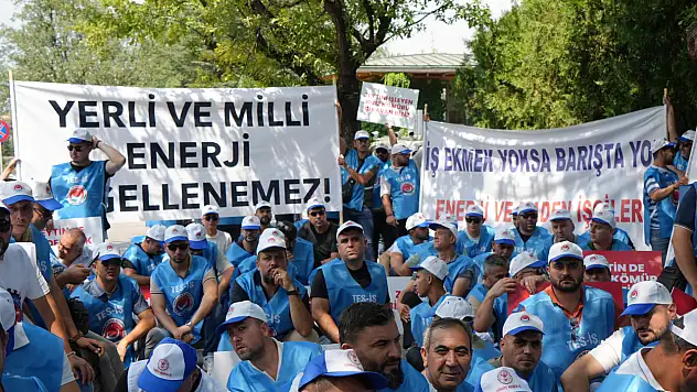 Milaslı muhtarlar ve TES-İŞ'ten Maden Yasası'na destek: 'Köylerimiz ve zeytinlerimiz yok olmayacak'