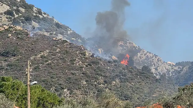 Milas'ta Alevler Yükseldi