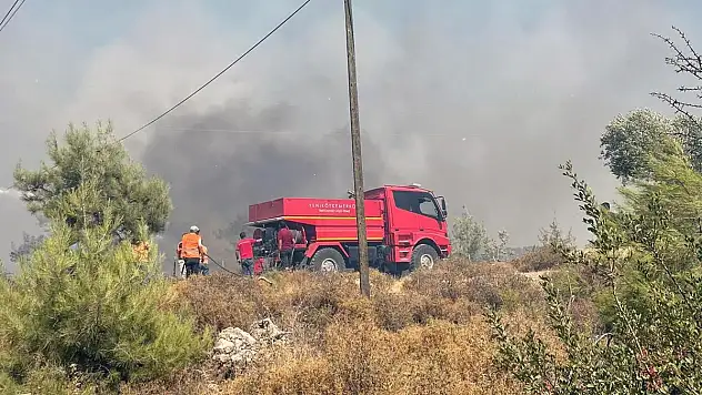Milas'ta Çıkan Yangına Havadan ve Karadan Müdahale Devam Ediyor