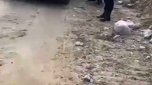 Milas'ta Çöp Kamyonu Feci Kazaya Neden Oldu: Yaşlı Kadın Hayatını Kaybetti