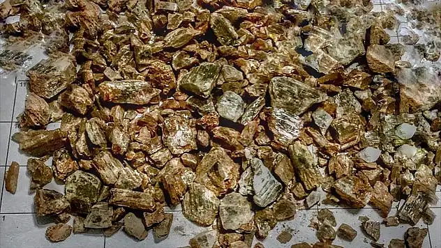 Milas'ta diaspor taşı operasyonu