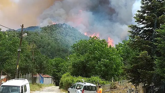 Milas'ta Orman Yangını