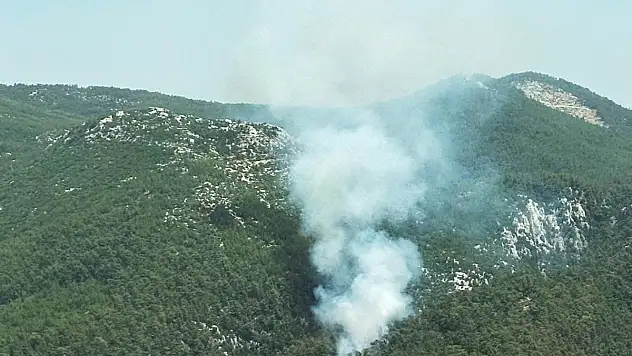 Milas'ta Orman Yangını