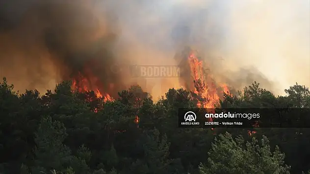 Milas'ta ormanlık alanda çıkan yangın kontrol altına alınmaya çalışılıyor
