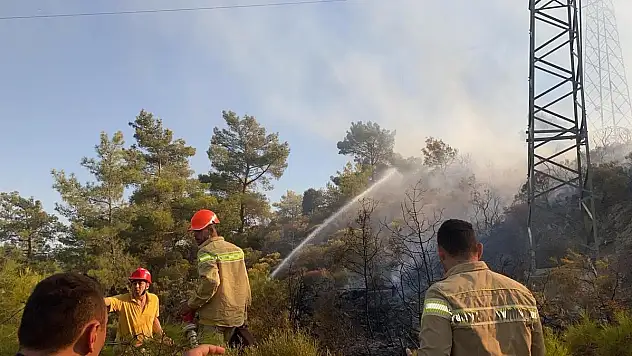 Milas'ta Zirai Alan Yangını