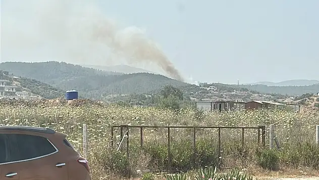 Milas'taki Orman Yangını Kontrol Altına Alındı