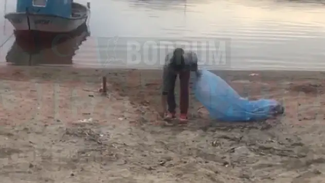 Minik Güler Tek Başına Bitez Sahilini Temizledi
