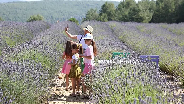 'Mor' Bahçelere Ziyaretçi Akını