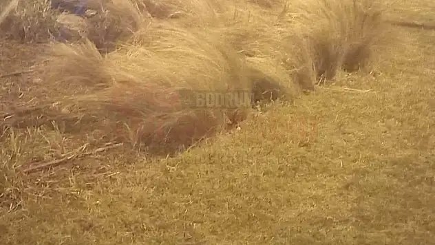 Motosiklet Sürücüsü Akıllı Kavşağa Fark Etmedi Kaza Yaptı