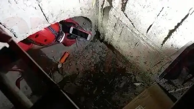 Muğla 911 Gönüllüleri Yavru Kediyi Kurtardı