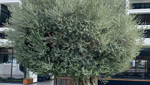 MUĞLA BORSA VE ODA BAŞKANLARI MUĞLA DOĞASININ BOZULACAĞI ENDİŞESİ İÇİNDEYİZ.'