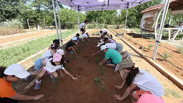 Muğla'da minik eller umut ekiyor