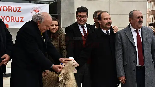 90 Kadın Üreticiye 900 Koyun ve 36 Koç Dağıtıldı