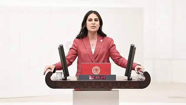 Muğla Milletvekili Gizem Özcan'dan Bodrum'da Tehdit Edilen Gazetecilere Destek