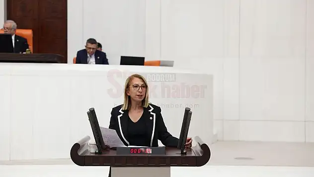 Muğla Milletvekili Süreyya Öneş Derici: 'Organize Suç Örgütleri Araştırılsın'