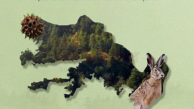 Muğla Orman Bölge Müdürlüğü Ağaç Bayramına Hazır