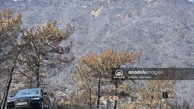 Muğla Valiliğinden orman yangınlarıyla mücadeleye ilişkin açıklama: