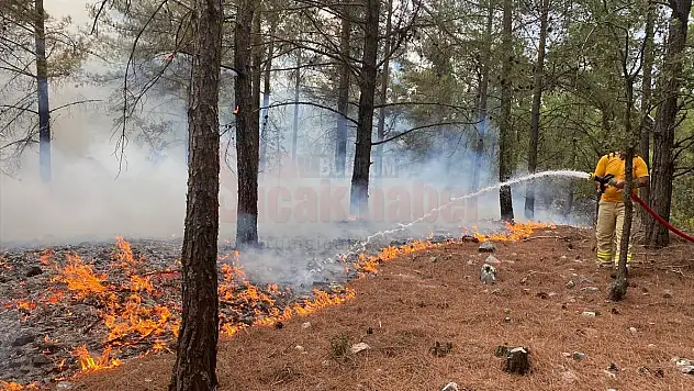 Muğla'da 13 noktada çıkan orman yangınları kontrol altına alındı