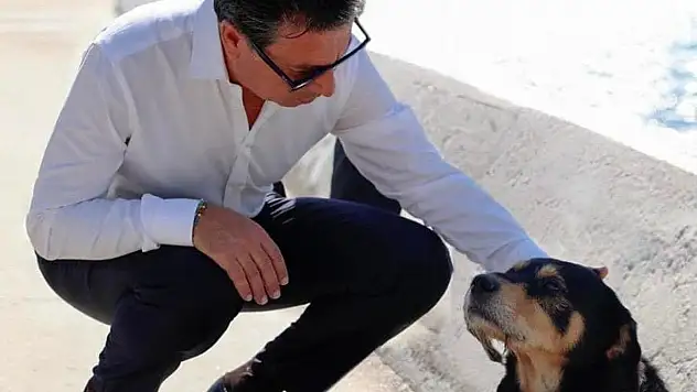 Muğla'da 3 Bin 480 Can Dostu Sahiplendirildi