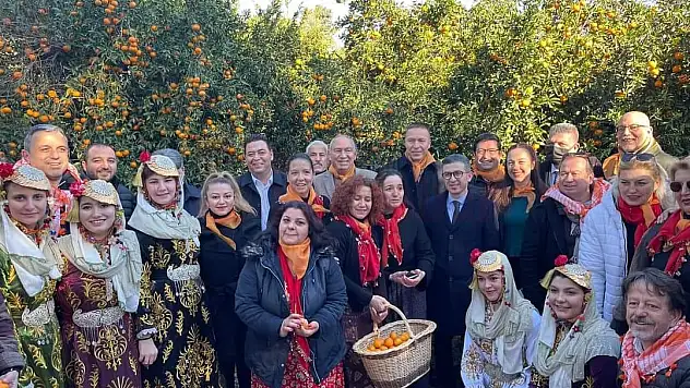 Muğla'da 'Bodrum Mandalina Hasat Festivali' düzenlendi