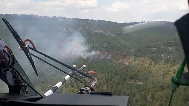 Muğla'da çıkan orman yangınına müdahale edildi