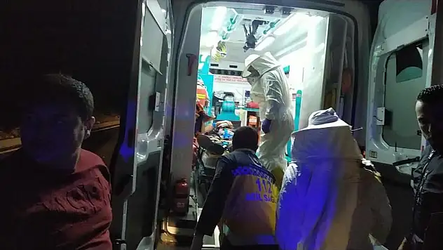 Muğla'da devrilen arı kovanı yüklü kamyonetin sürücüsü ağır yaralandı