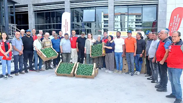 Muğla'da Enginar Üretimi Projesi Hayata Geçirildi