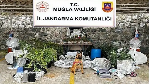Muğla'da Güvenlik Güçleri Uyuşturucuya Geçit Vermedi