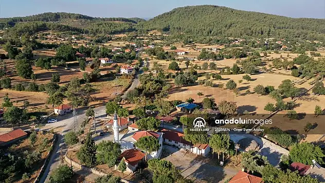 Muğla'da ormanlık alanlara görevliler dışındakilerin girmesi yasaklandı