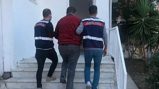 Muğla'da otomobiliyle çoban ve sürüsüne çarpan şüpheli yakalandı