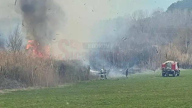 Muğla'da Sazlık Alanda Çıkan Yangın Söndürüldü