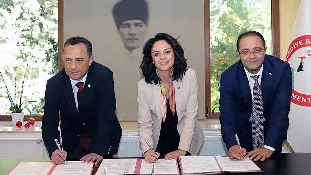 Muğla'da Sokak Hayvanları Kısırlaştırılarak Sahiplendirilecek
