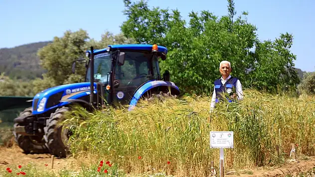 Muğla'da üreticiler bilinçli üretim yapıyor