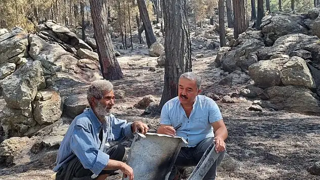 Muğla'da yanan ormanların yeniden canlanmaya başlaması arıcıları umutlandırdı
