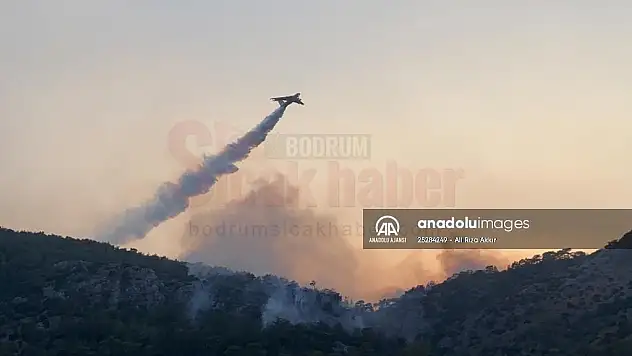 Muğla'nın Seydikemer ilçesinde orman yangını çıktı