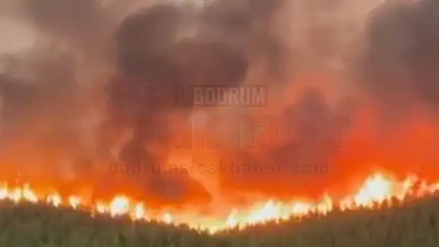 Muğla'ya Bağlı Yumalı ve İkizce'de ki Yangınlar Kontrol Altına Alınamıyor