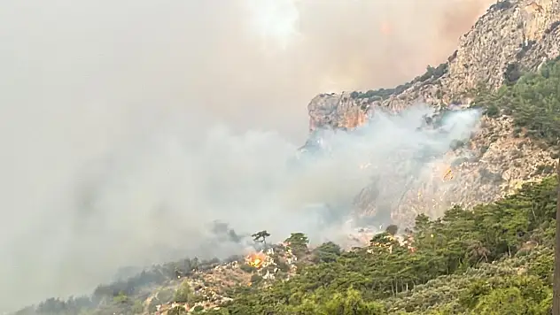 Muğla'yı Orman Yangınları Esir Aldı