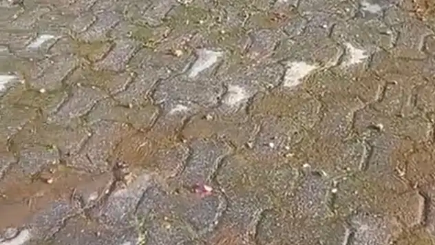 MUSKİ'nin vurdumduymazlığı