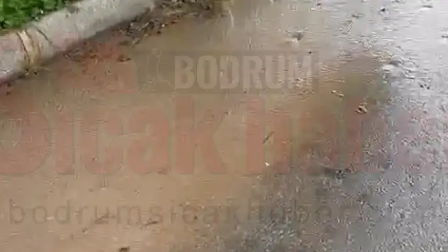 Muski Yetkilileri Tonlarca Su Neden  2 Haftadır Boşa Akıp Gidiyor