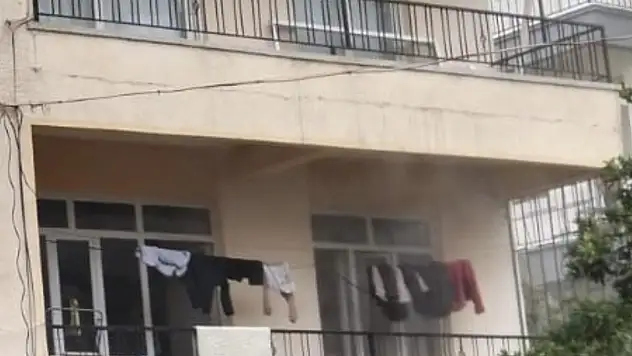 Mutfak yangınında 2 kedi öldü