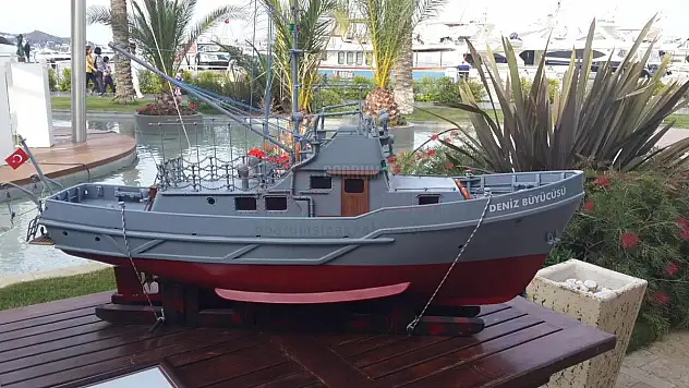 MÜZELERİN ÖRNEK DAYANIŞMASI