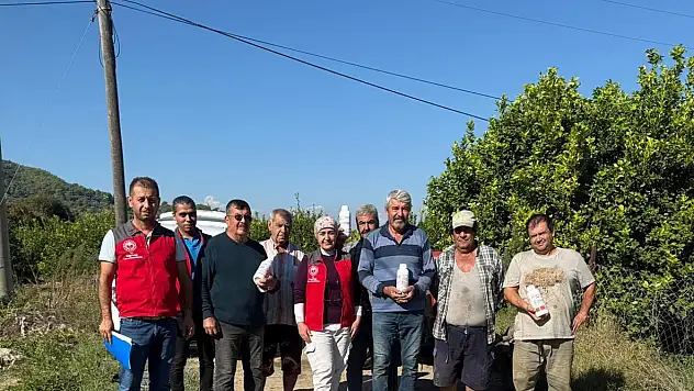Narenciye bahçelerini zararlılardan koruma seferberliği
