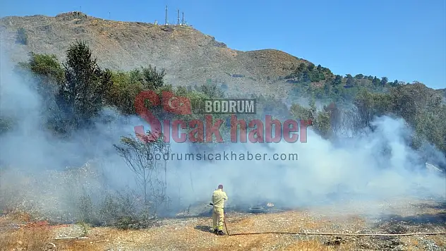 Narenciye bahçesinde çıkan yangın söndürüldü