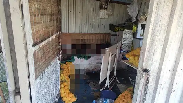 Narenciye Satıcısı Ölü Bulundu