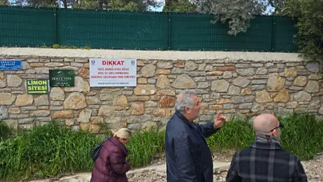 Nilay Konday: 'Bitez'deki Dere Sorununa Acil Çözüm Gerekli'