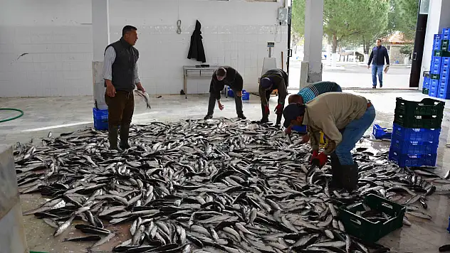 Nisan Ayında 95 Milyon Dolarlık İhracat