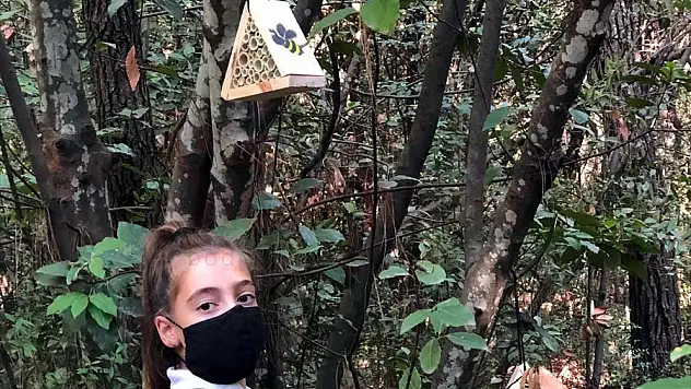 Öğrencilerin imal ettiği 'arı otelleri' ormana yerleştirildi